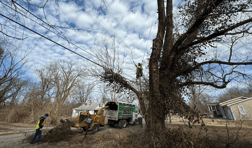 Green Line Tree Services